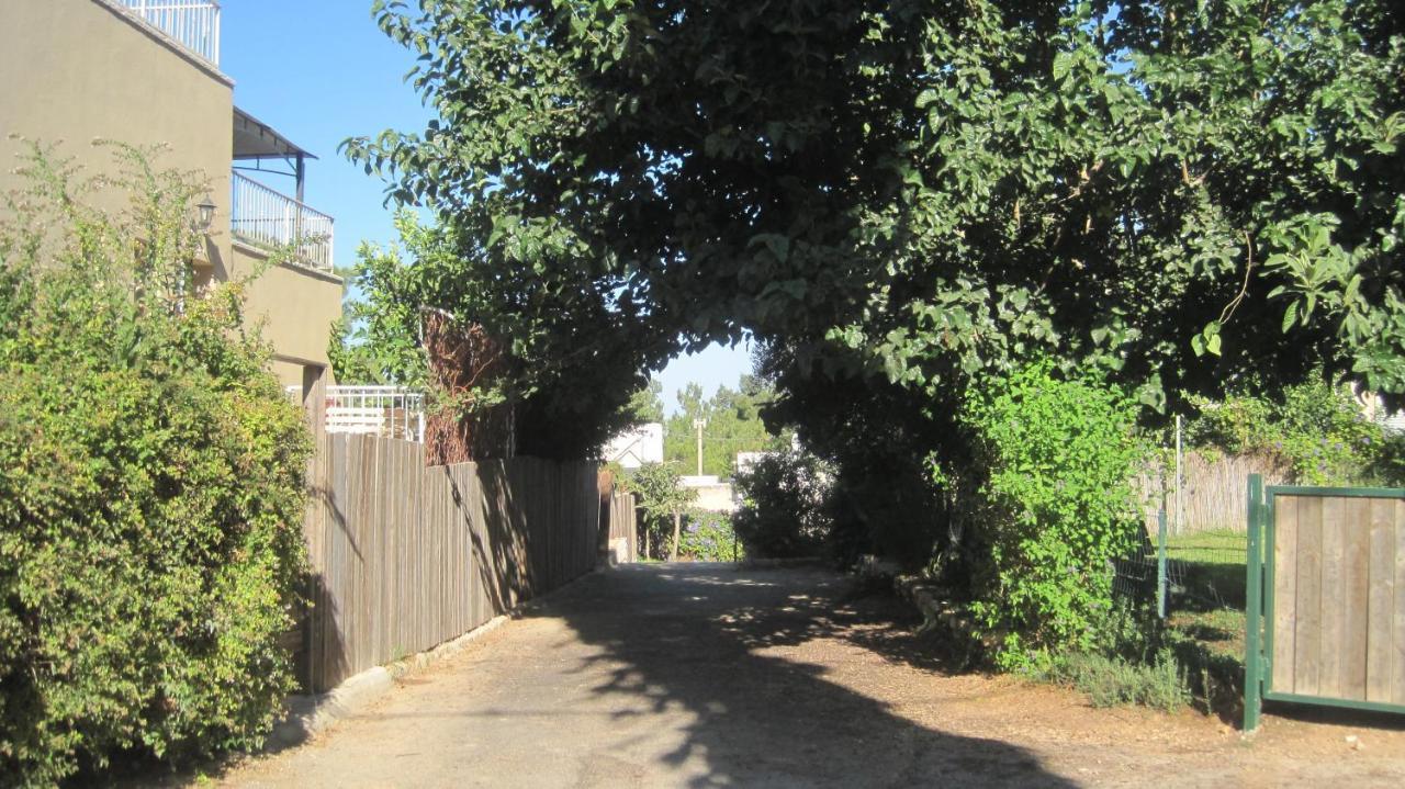 The House By The Mulberry Tree Apartamento Newe Ilan Exterior foto